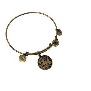 Alex And Ani Bracelet Gold Tone Sagittarius Energy Bracelet 2014